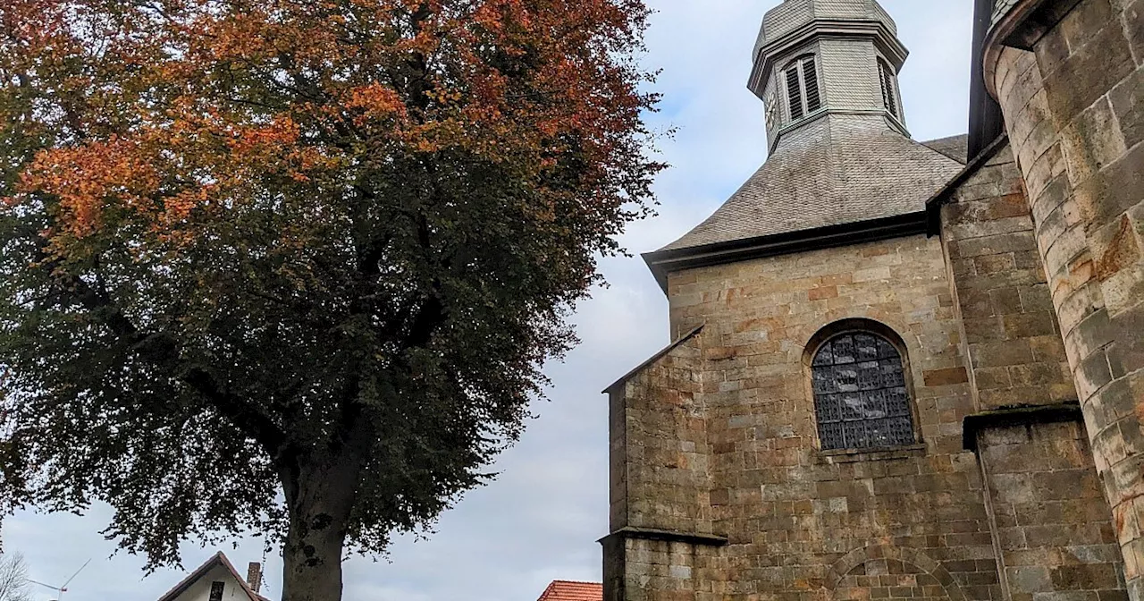 Kirche hat kein Geld: 100 Jahre alter Baum in Willebadessen muss weichen