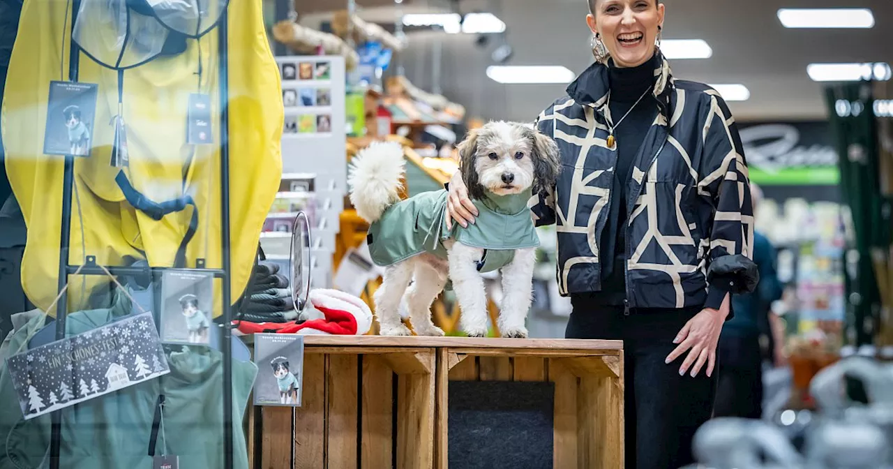 Kurios: Hunde-Models präsentieren Vierbeiner-Mode in Bielefelder City