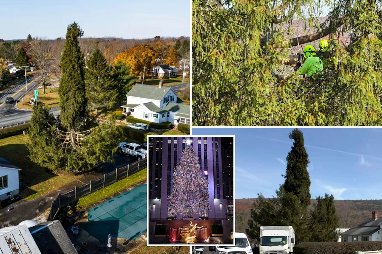 Crowds flock to tiny Massachusetts town to send off New York’s Rockefeller Christmas tree