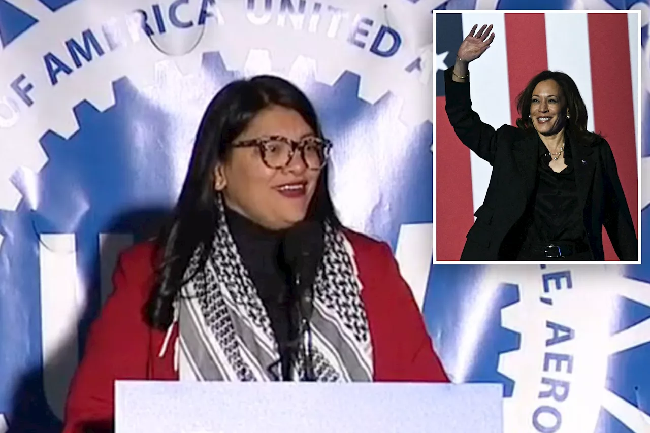 'Squad' holdout: Rashida Tlaib refuses to endorse Kamala Harris at Michigan rally