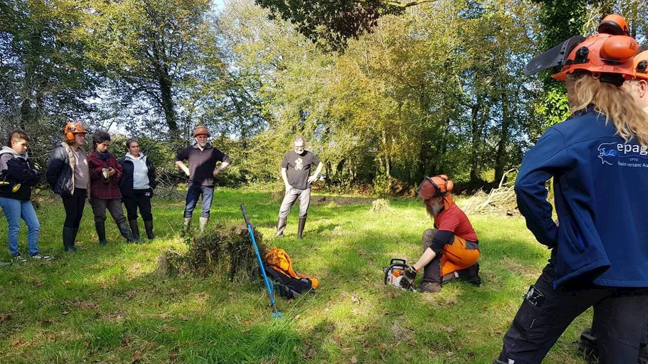 Des formations d’entretien durables des haies proposées dans le Finistère