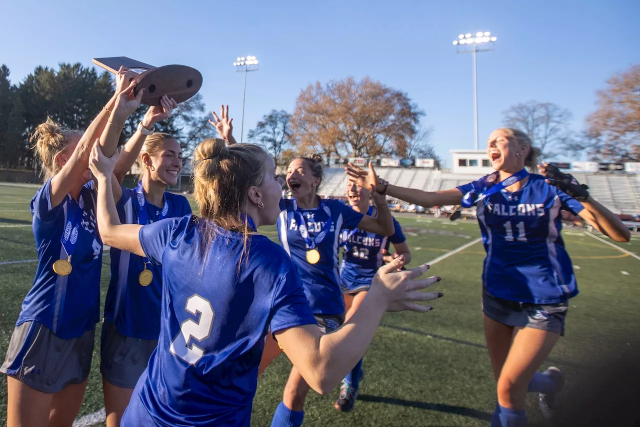 Lily Rost’s OT goal lifts Lower Dauphin field hockey to District 3, Class 3A championship