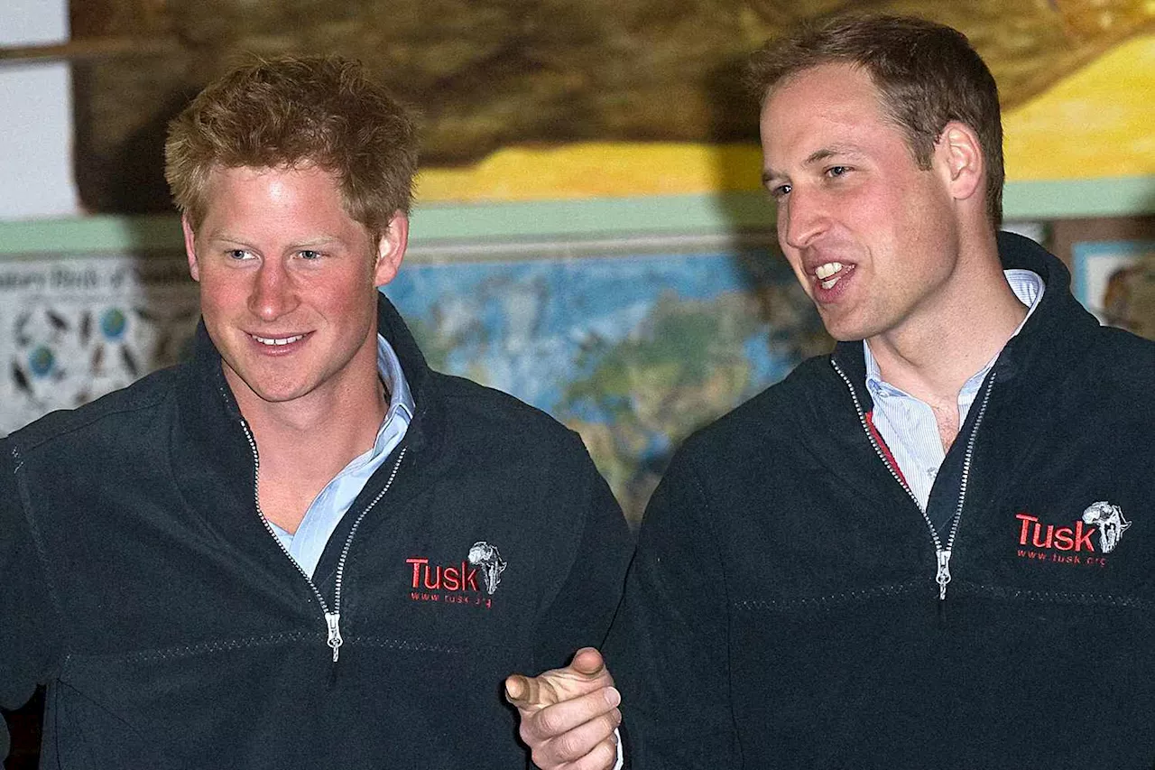 Prince William's Last Working Trip to South Africa Was with Prince Harry