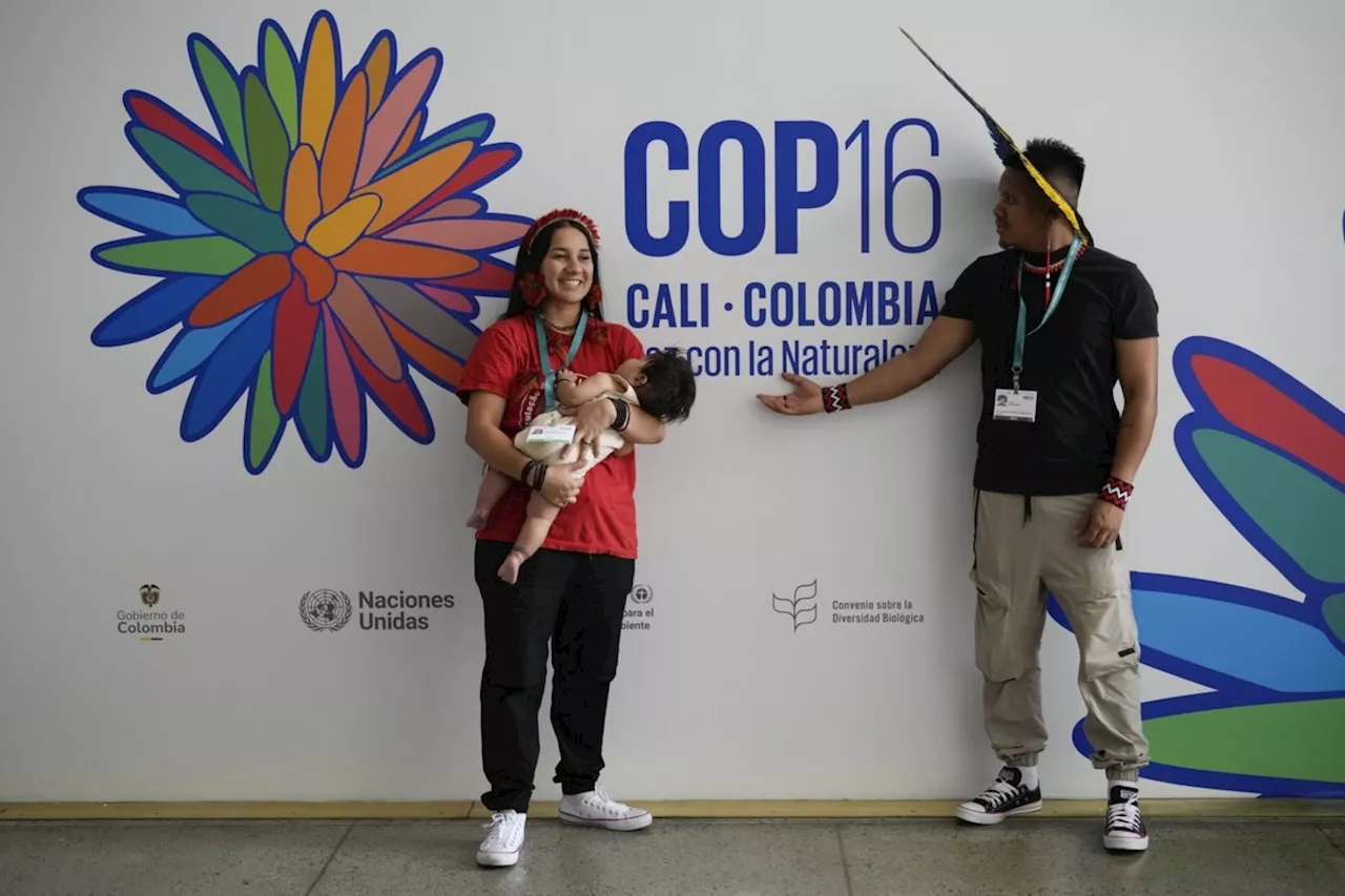 Delegates agree to establish Indigenous subsidiary body at COP16 biodiversity summit in Colombia