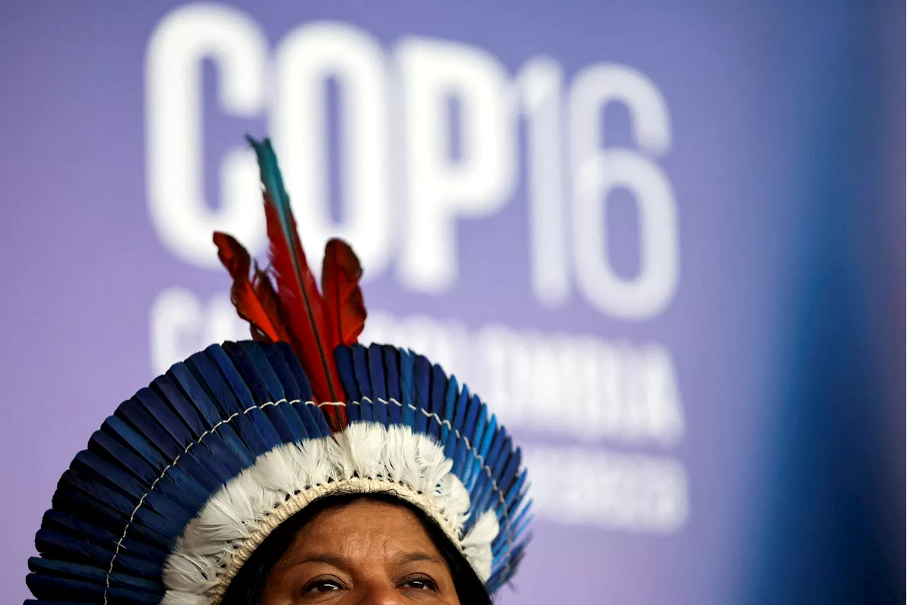 UN COP16 nature summit creates permanent body for indigenous peoples