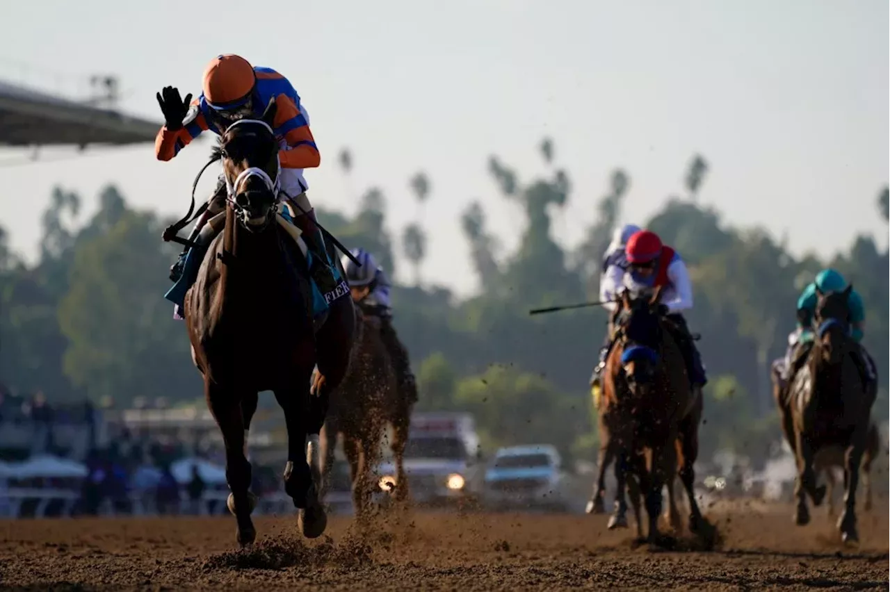 Breeders’ Cup races at Del Mar can crown nation’s, world’s best