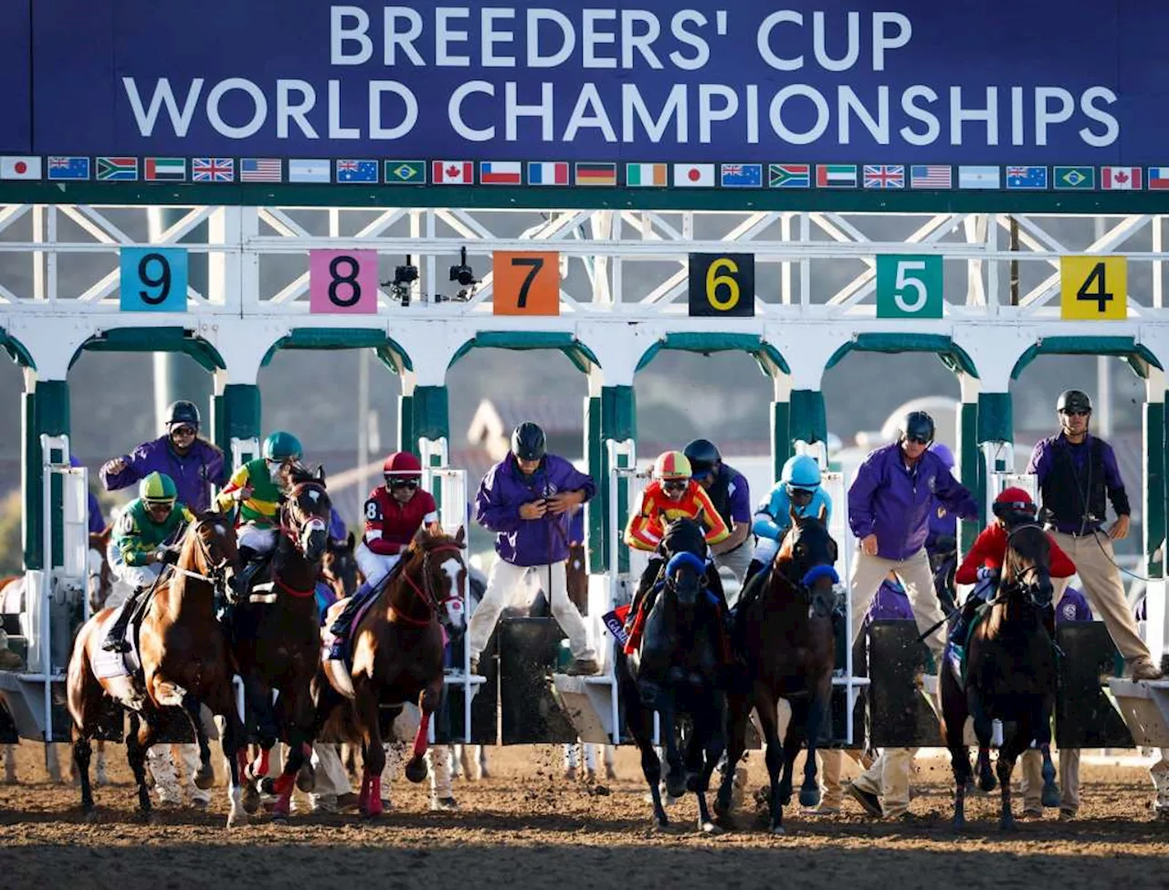 Sierra Leone finally wins big one in Breeders’ Cup Classic