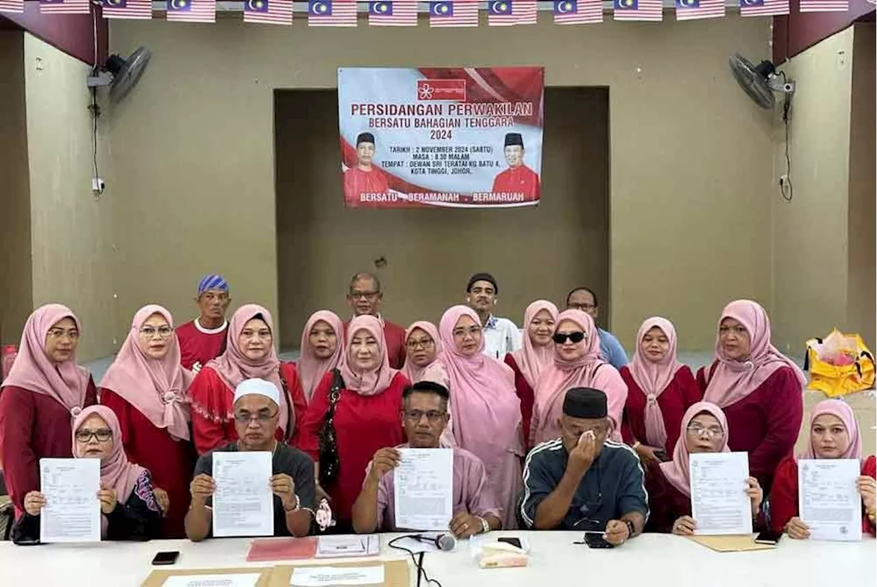 Tenggara Bersatu division chief, committee members exit party