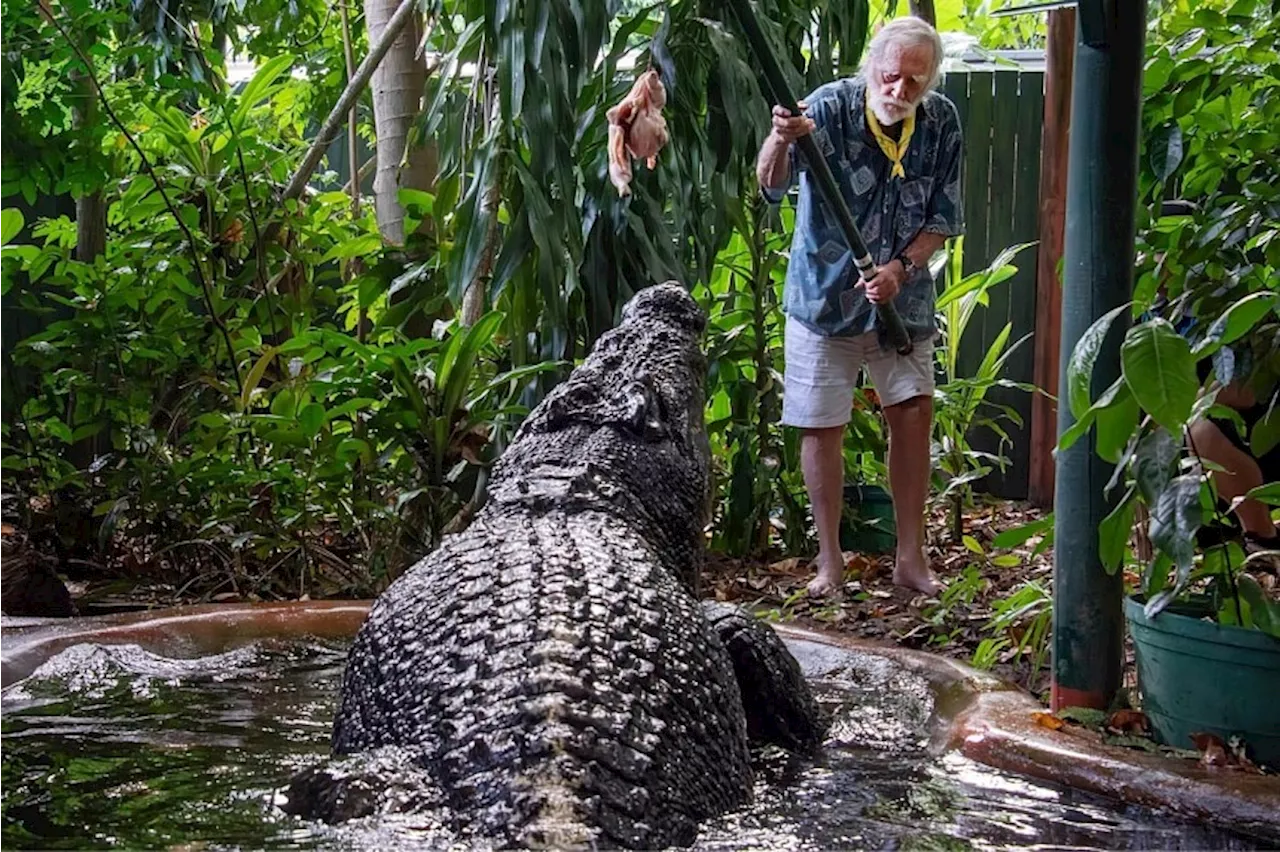 World’s largest captive crocodile Cassius dies in Australia