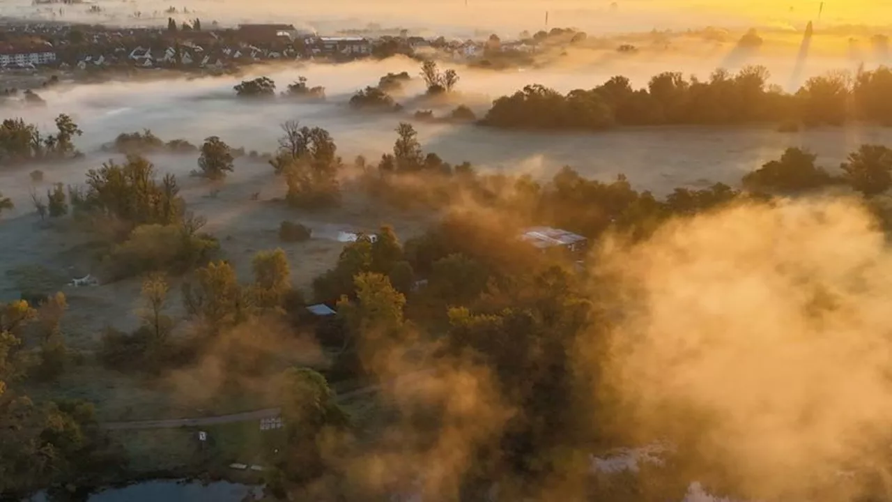 Wetter: Nach mildem Herbst: Frost und Nebel in Sachsen-Anhalt