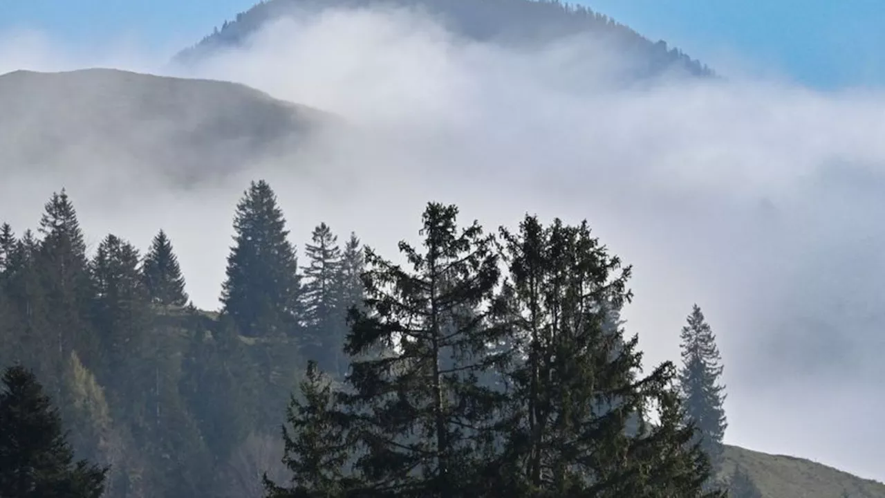 Wetter: Nebelig-trübes Wochenende in Bayern