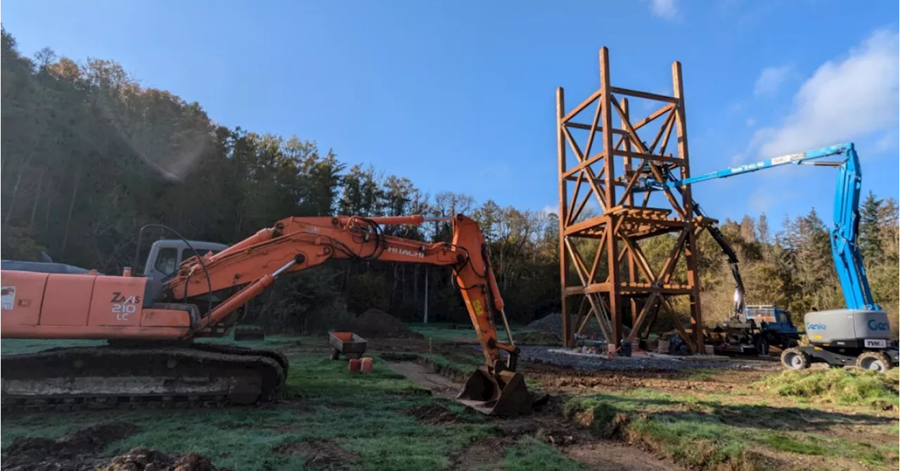 Un accrobranche spectaculaire en construction au domaine des grottes de Han-sur-Lesse : son ouverture est