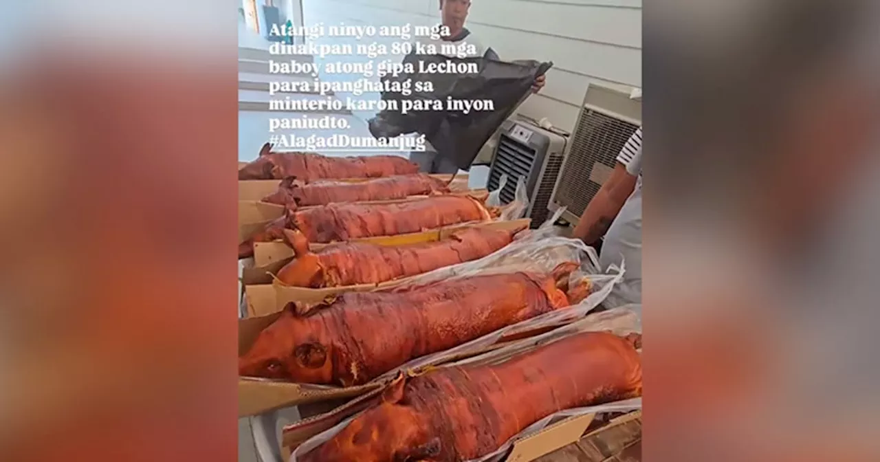 Nasakmit nga mga baboy sa Dumanjug, gilitson