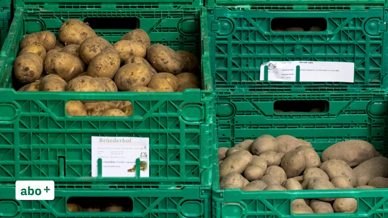 «Ohne das Ausland würden wir verhungern»: Bauer erklärt, warum der Schweiz die Biokartoffeln ausgehen