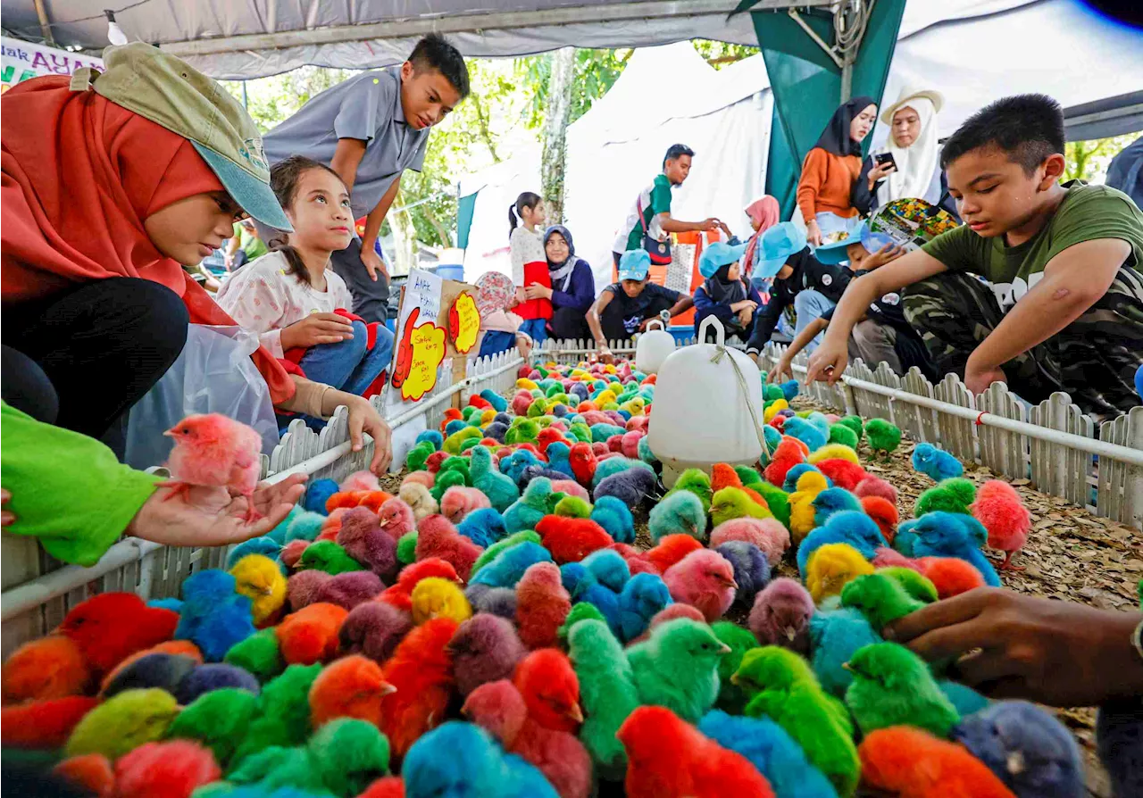 Suami kedekut dengan isteri, anak