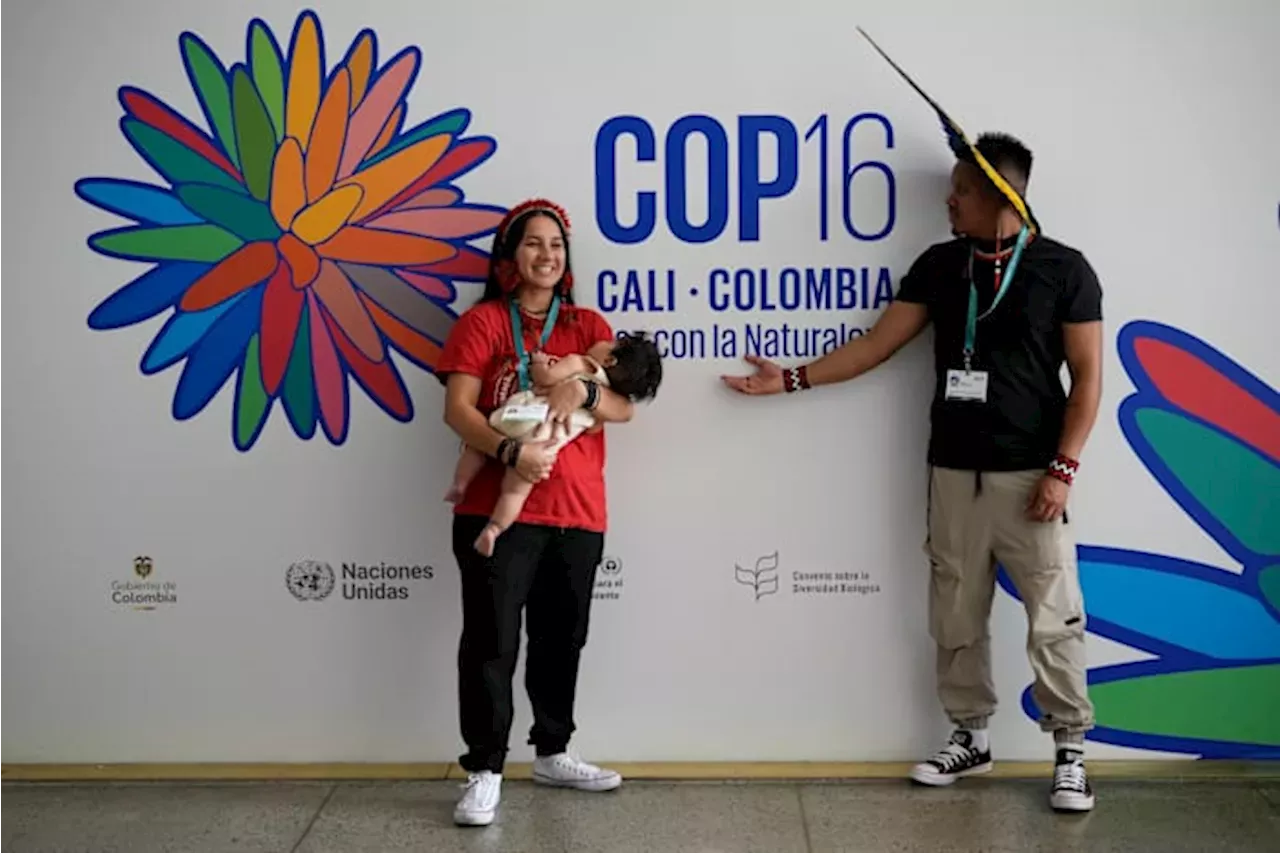 Delegates Agree To Establish Indigenous Subsidiary Body At COP16 ...