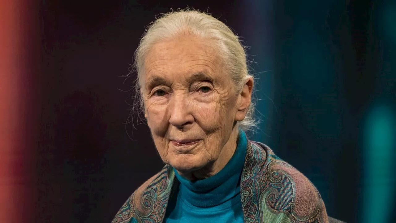 Verhaltensforscherin Jane Goodall zu Gast bei Theo Koll