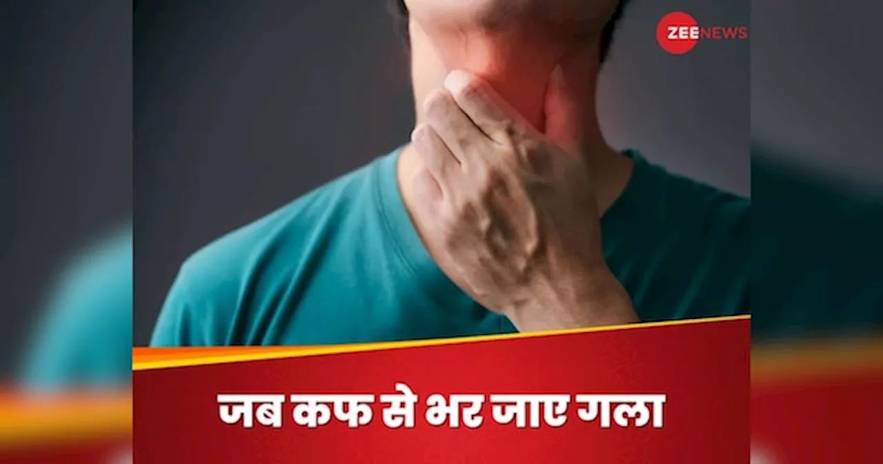 Cough: गले में जम गई हद से ज्याद कफ? जानिए कौन से घरेलू नुस्खे आएंगे काम