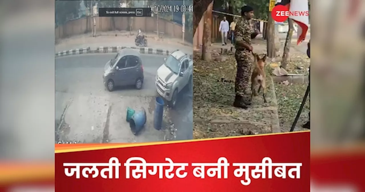 Delhi CRPF School Blast: कुत्ता घुमाने आए शख्स ने फेंकी अधजली सिगरेट और CRPF स्कूल के बाहर हो गया धमाका!