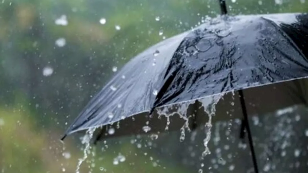 Kerala rain alert: സംസ്ഥാനത്ത് ഇന്ന് ശക്തമായ മഴയ്ക്ക് സാധ്യത; ഇന്ന് എട്ട് ജില്ലകളിൽ യെല്ലോ അലർട്ട്