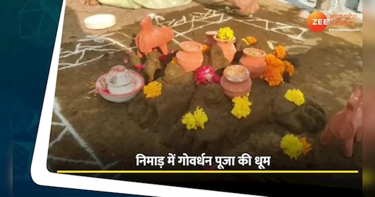 Khargone video: निमाड़ में गोवर्धन पूजा का उत्सव, पशुओं की सजावट ने बांधा समां, देखें वीडियो