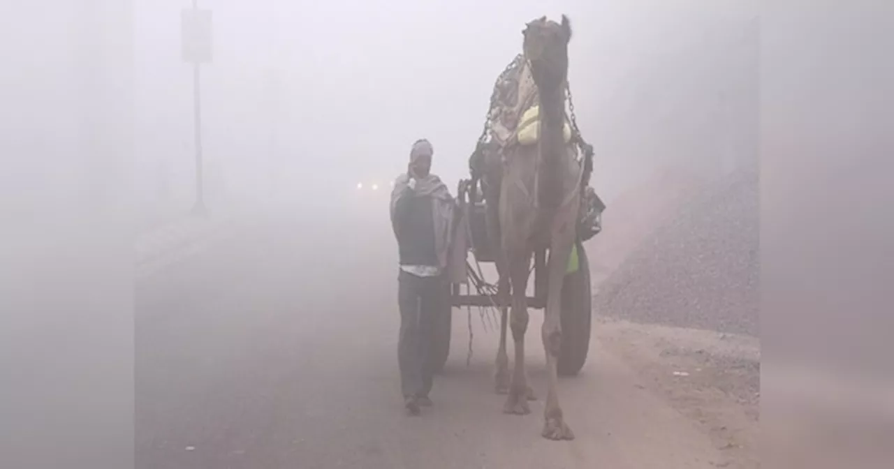 Rajasthan Weather Update: राजस्थान में सर्द हवाओं ने बढ़ाई ठिठुरन, तेजी से गिर रहा पारा, जानें मौसम का ताजा हाल