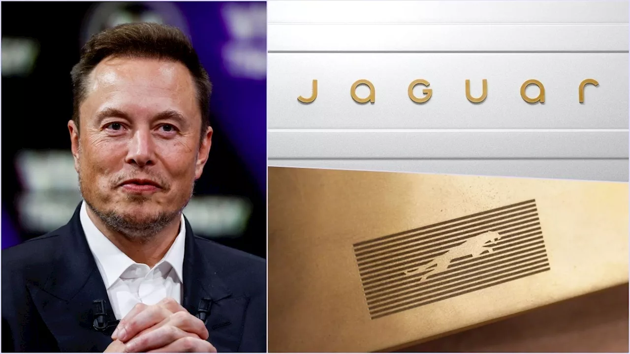 Jaguar ने बदल दिया अपना वर्षों पुराना लोगो, Elon Musk ने पूछा 'क्या आप कार बेचते हैं?'