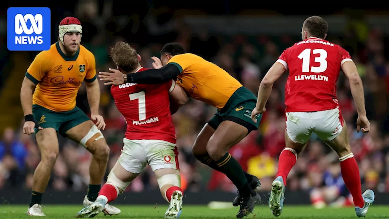 Australia's Samu Kerevi banned for three matches for high tackle on Wales' Jac Morgan, rules him out of Wallabies tour