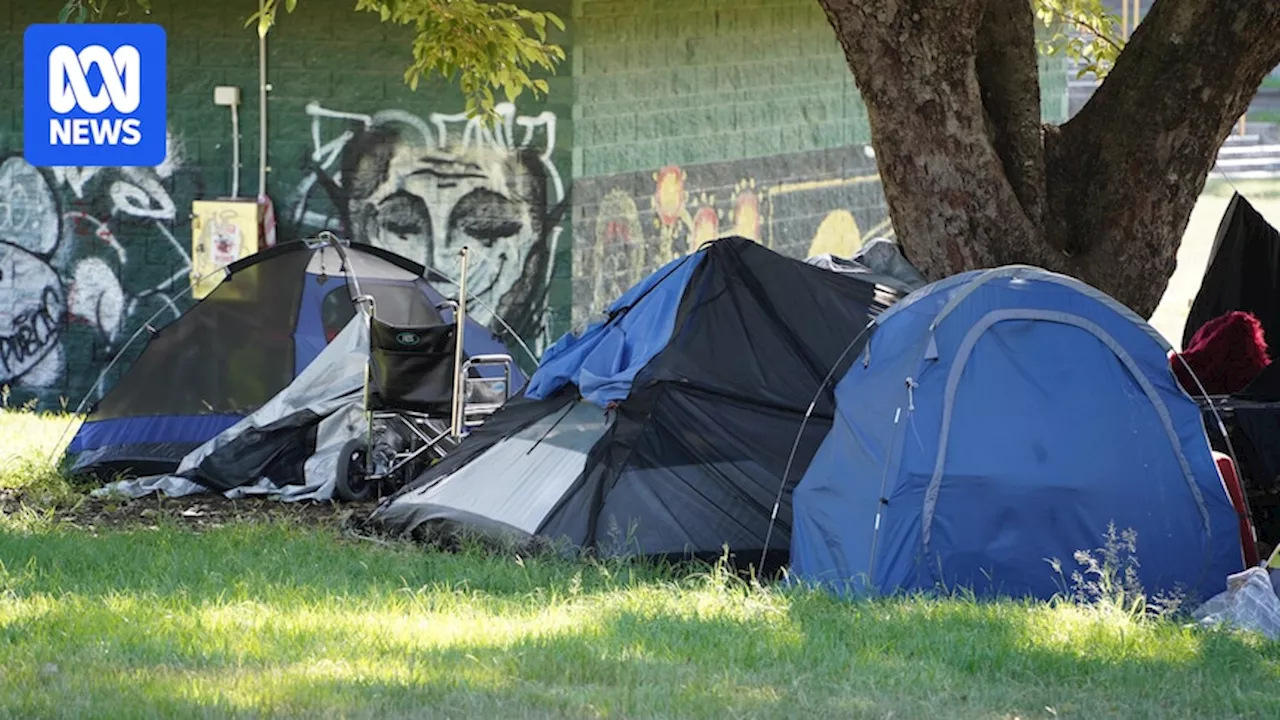 Domestic violence support service hands out tents as crisis housing dries up