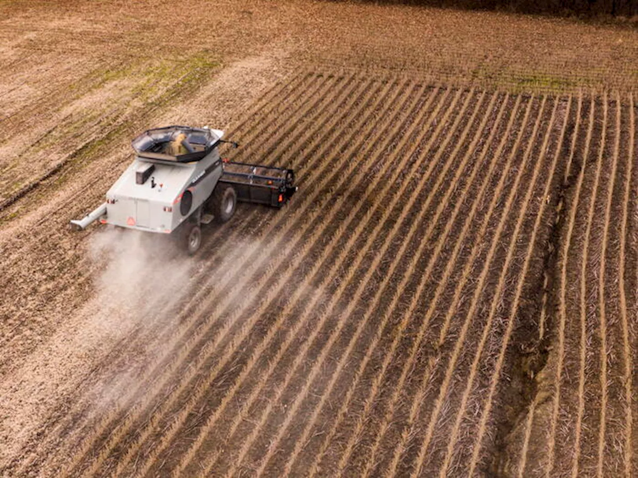 Confagricoltura, preoccupa calo quotazioni della soia italiana