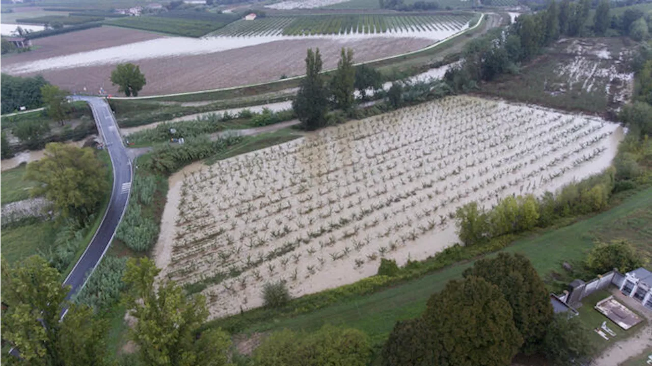 Italian farmers hit more and more by extreme weather -report