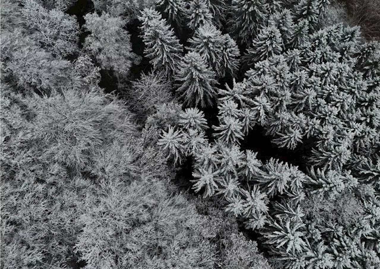 La neve dà spettacolo in Germania