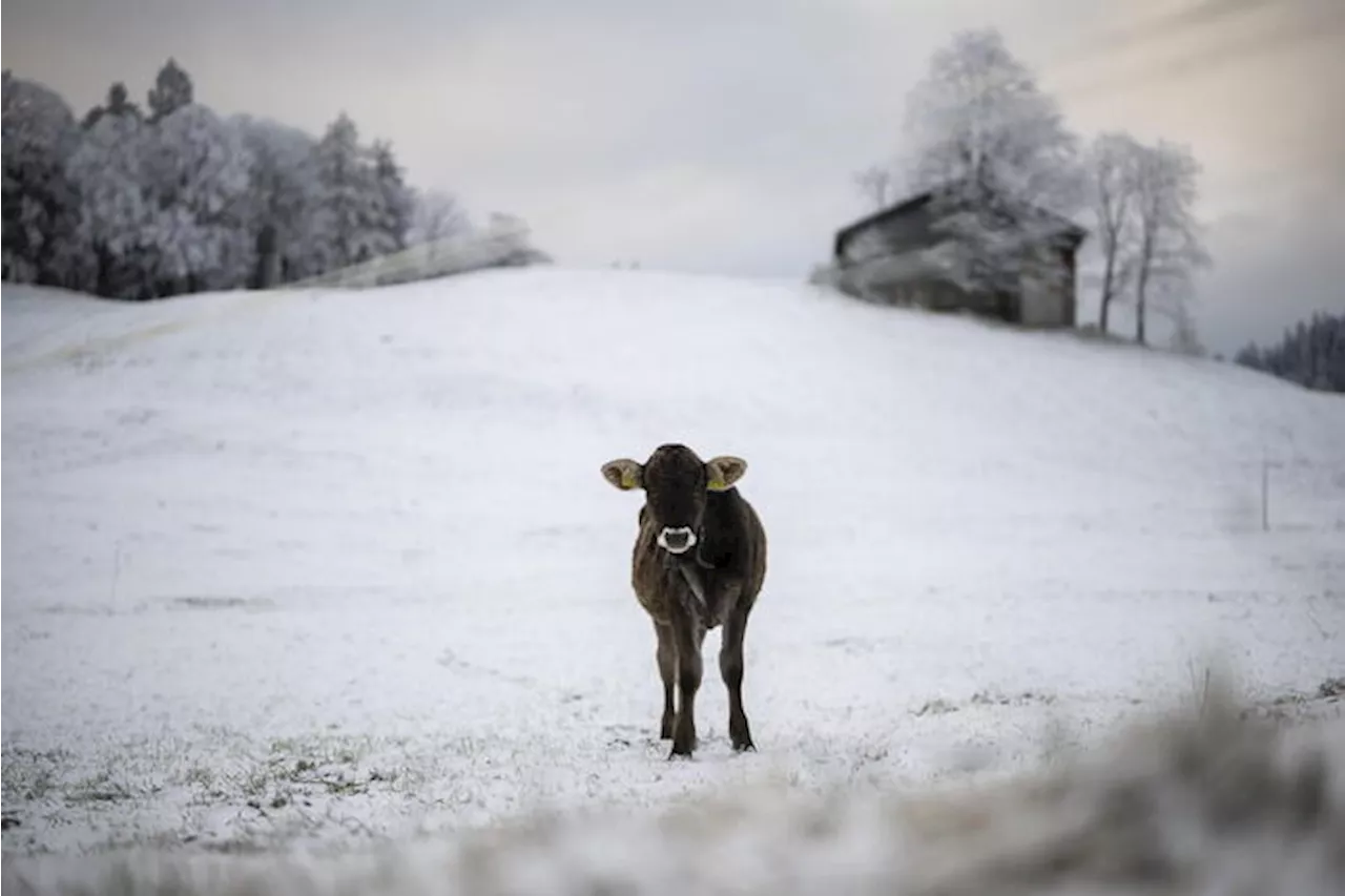 Tre giorni con vento, mareggiate, freddo e anche neve