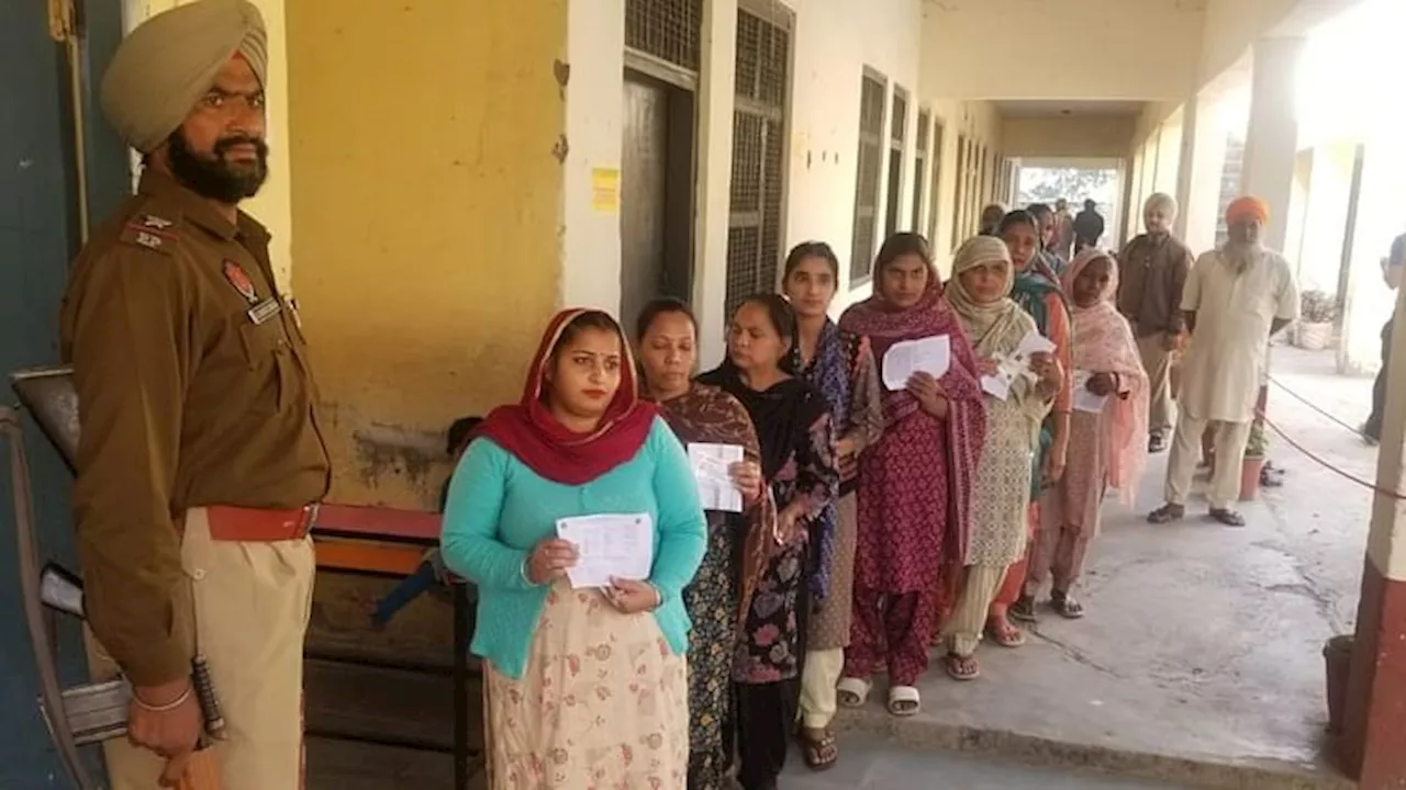 Punjab By Election Voting Live: एक बजे तक 36.46 फीसदी मतदान, डेरा बाबा नानक में आप-कांग्रेस कार्यकर्ता भिड़े