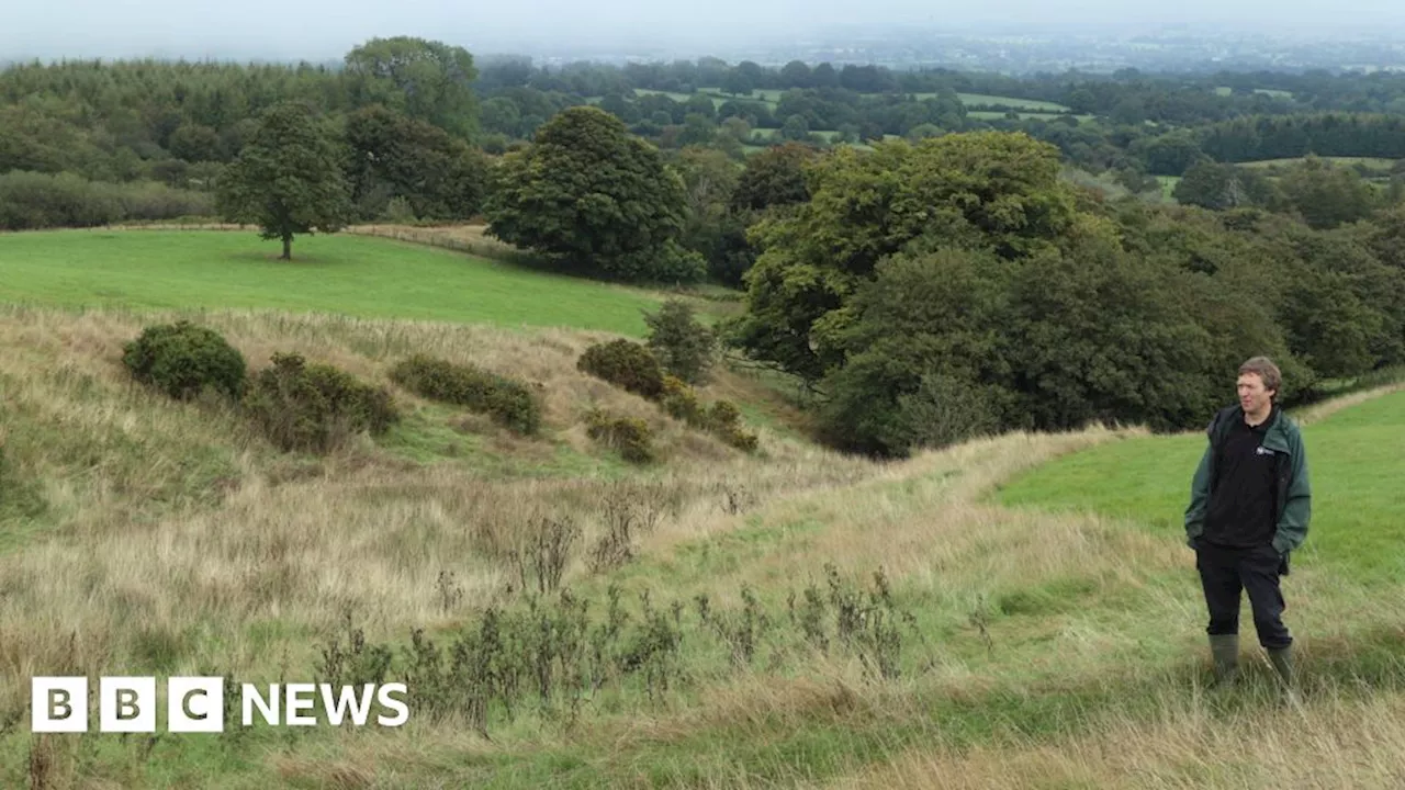 Why Shropshire Wildlife Trust needs funds to restore land