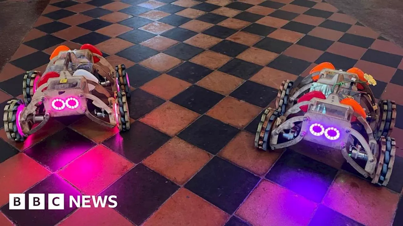 Kent: Animal robots give Gravesend a taste of the future