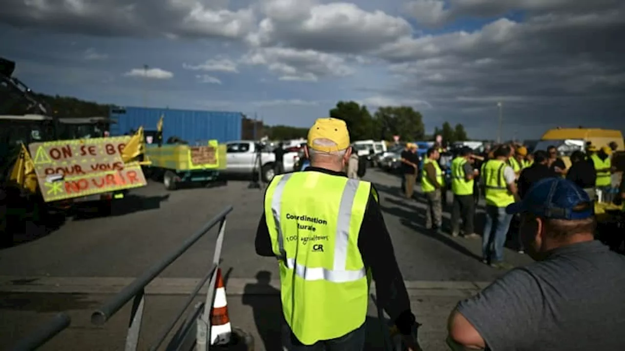 Colère des agriculteurs: des sangliers morts déposés devant la fédération de chasse à Périgueux