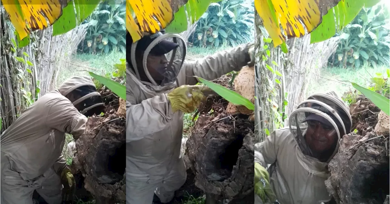 Seis jóvenes cayeron a una cascada en Copacabana tras ser atacados por enjambre de abejas