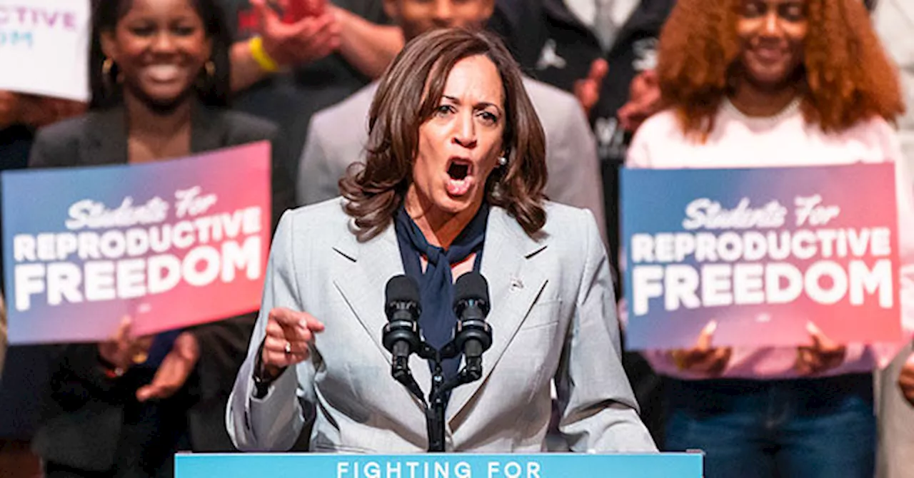 Democrats Complain ‘Voters Just Didn’t Care’ Enough About Abortion to Elect Kamala Harris