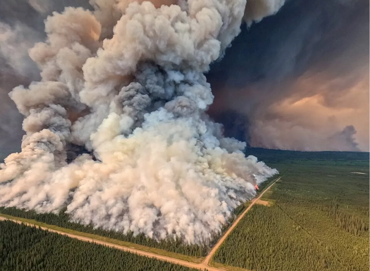 Dwindling sea ice, warming oceans fuelled Canada's 2023 wildfires, finds study