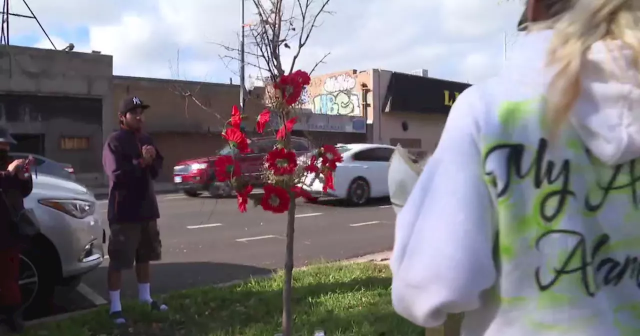 Chicago families who have lost loved ones to violence plant peace trees