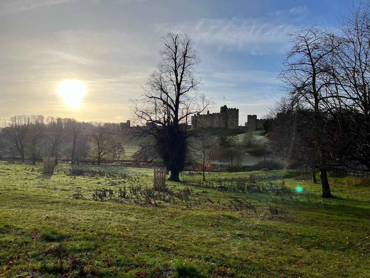 The Wildlife Trusts buy Rothbury Estate in landmark purchase