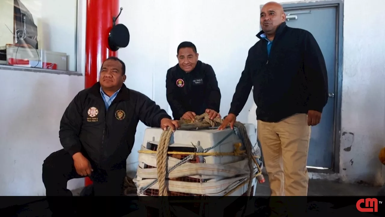 Capturada leoa que andava à solta em bairro no México