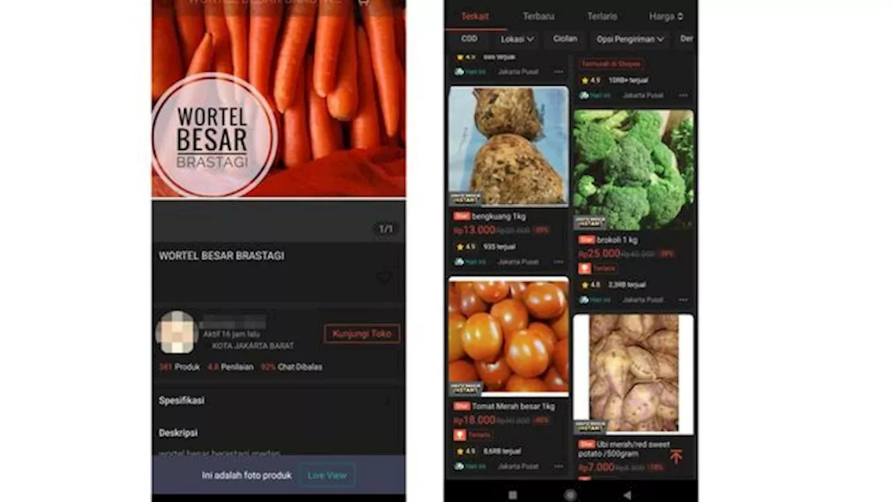 Fenomena Baru Warga RI, Makin Getol Belanja Sayur Cs di Ecommerce
