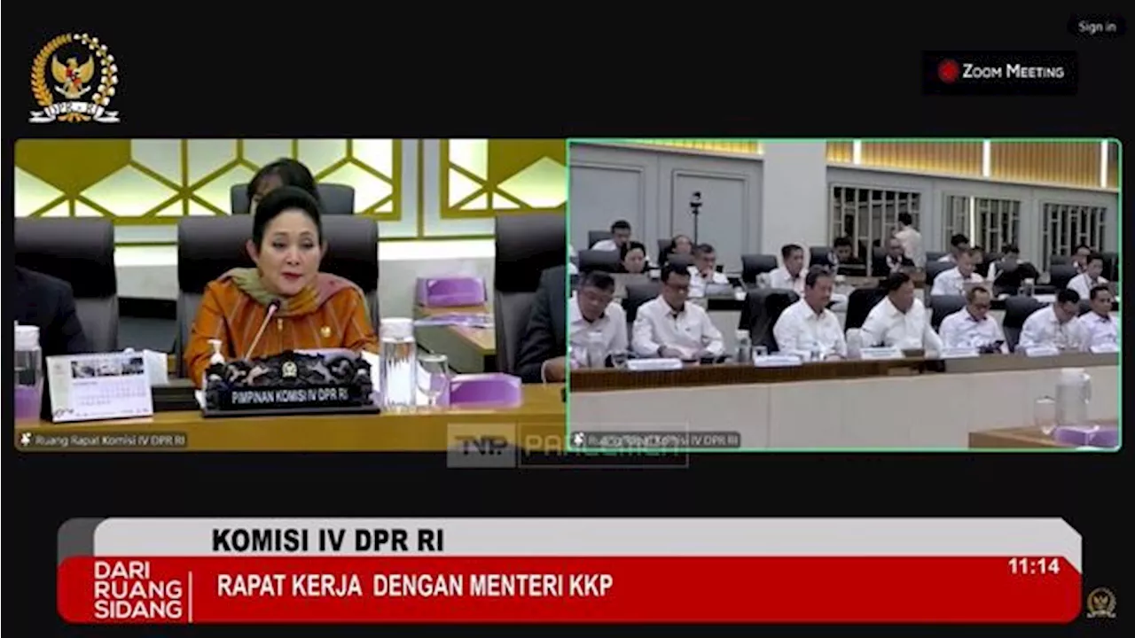 Prabowo Potong Anggaran Perjalanan Dinas, Titiek Soeharto Bilang Gini