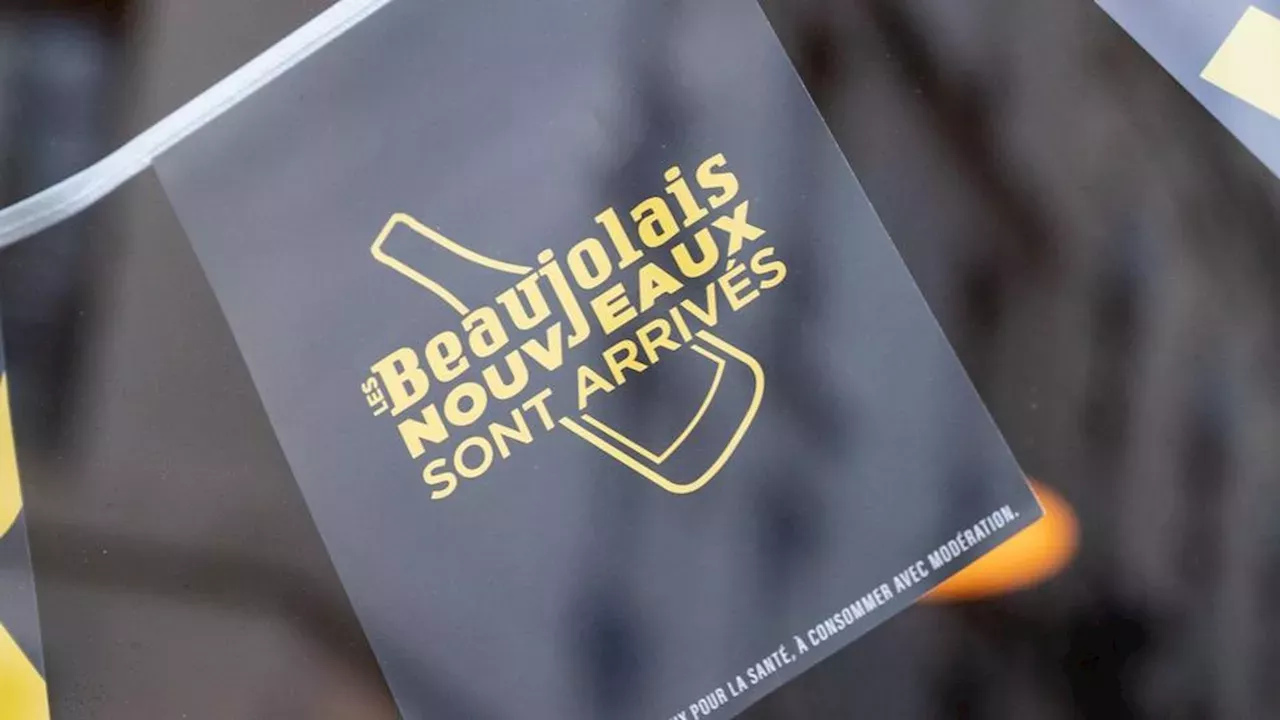 Beaujolais nouveau 2024 ces 5 choses à savoir absolument Beaujolais Nouveau Événement