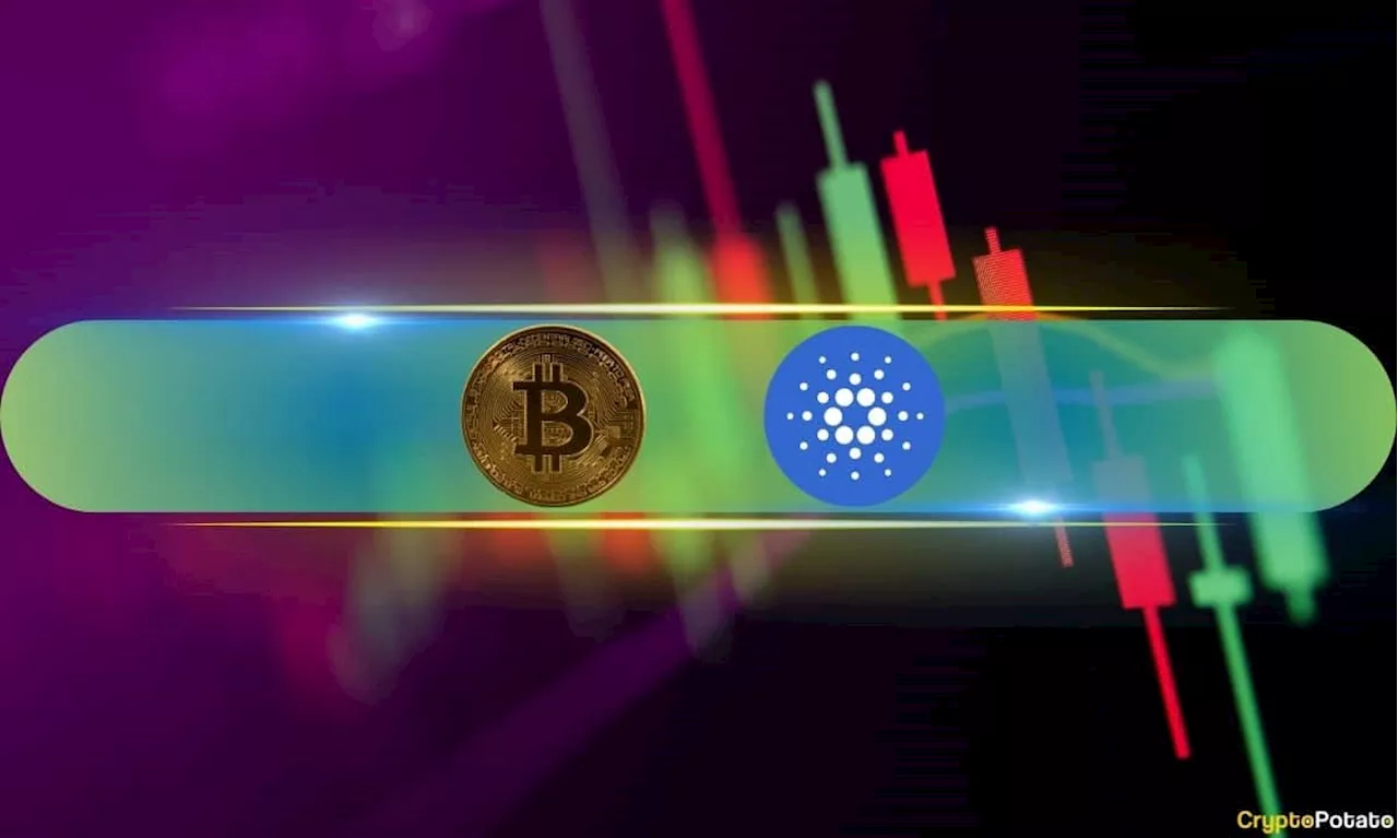 Cardano (ADA) Soars by 14%, Bitcoin (BTC) Remains Above $93K After New ATH (Market Watch)