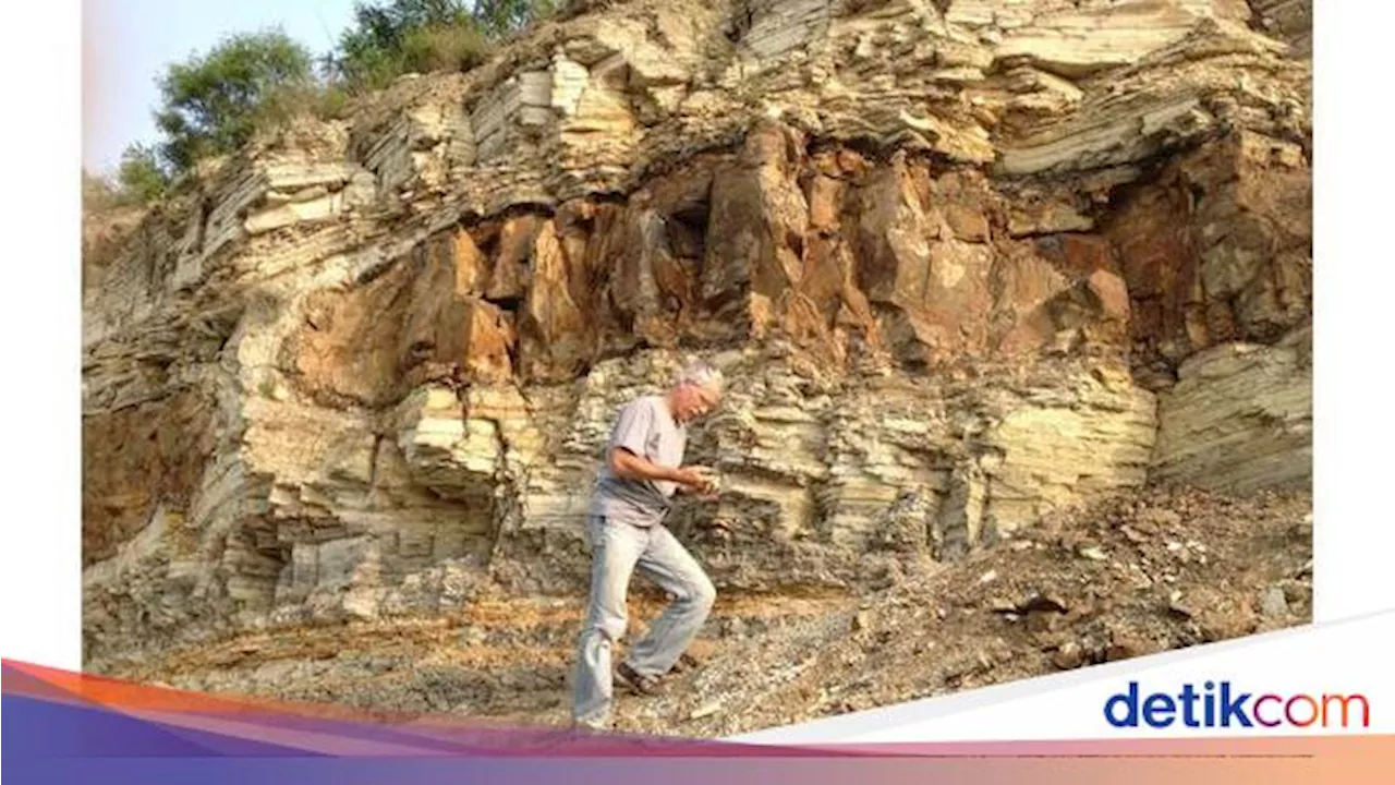 Fosil Dinosaurus dan Makhluk Purba Terawetkan dengan Baik di Lokasi Ini, Kok Bisa?