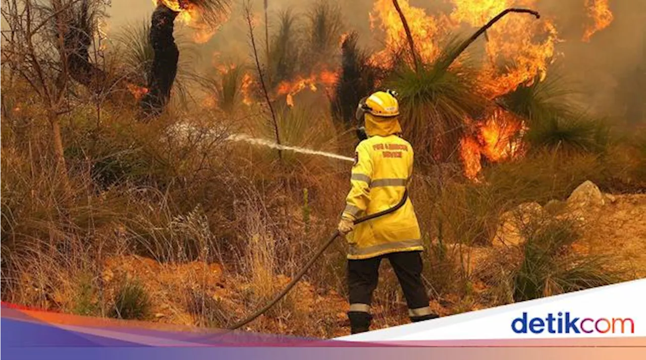 Studi: Kehidupan Masyarakat Adat di Australia Bisa Mengatasi Krisis Kebakaran Hutan