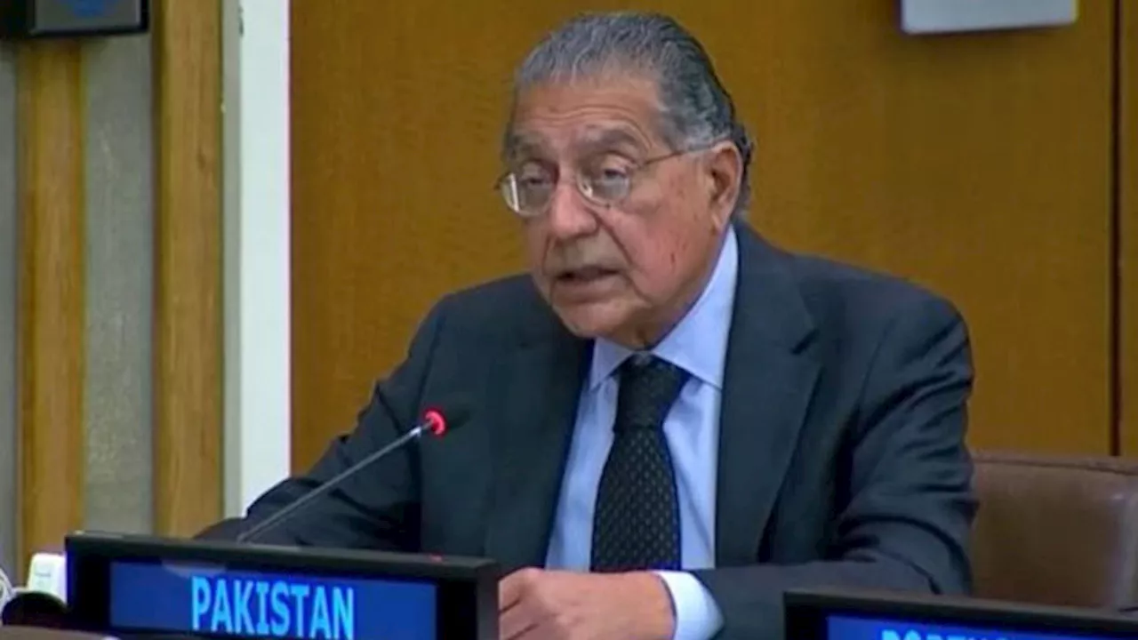 More non-permanent members rather than new permanent will make UNSC effective: Pakistan